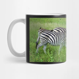 Wildlife African Zebra Mug